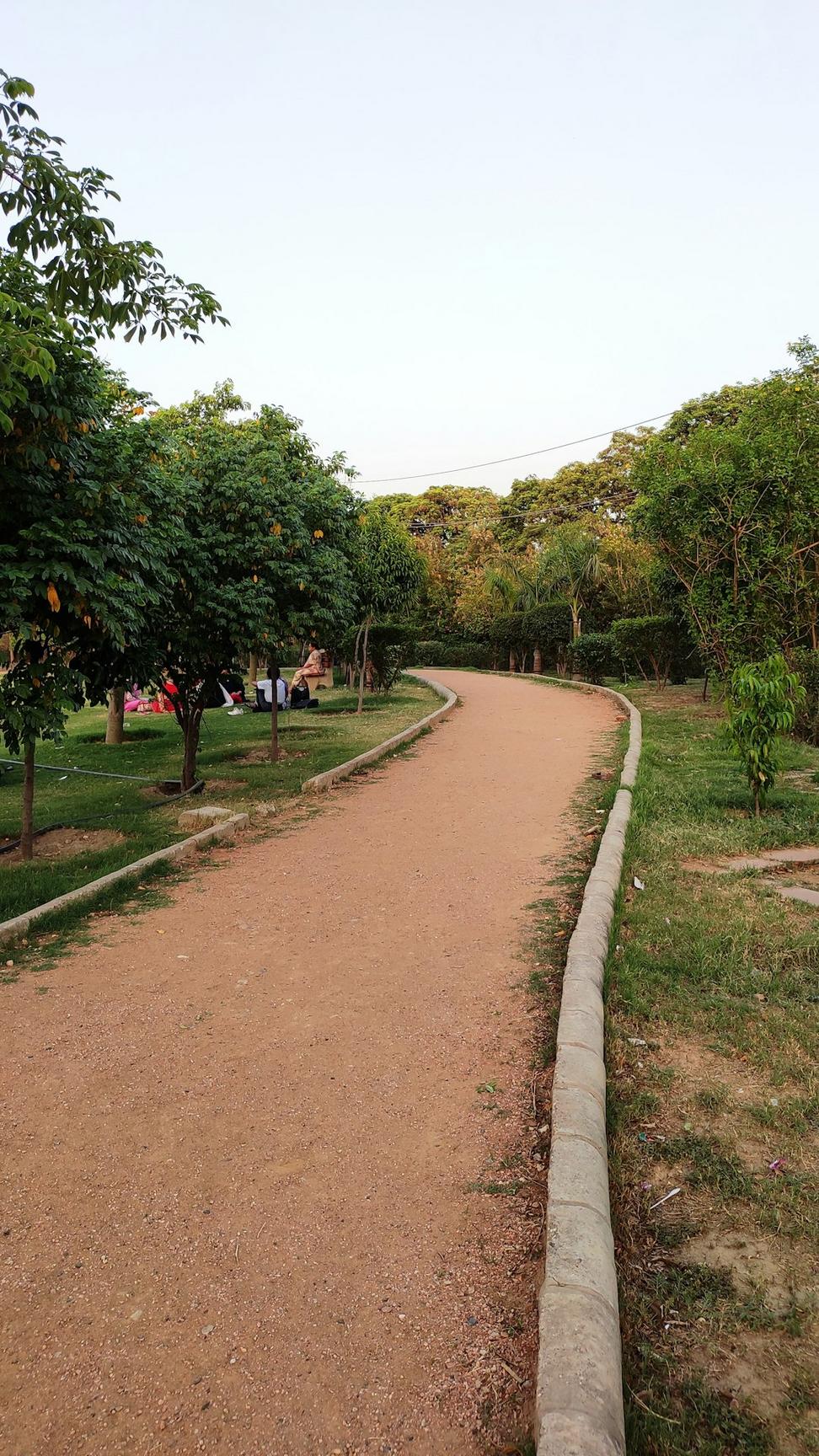 Park pathway design