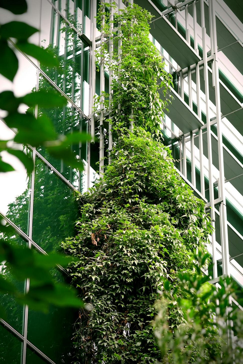 Sustainable Office